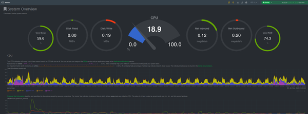Server-Performance-Daten visualisieren